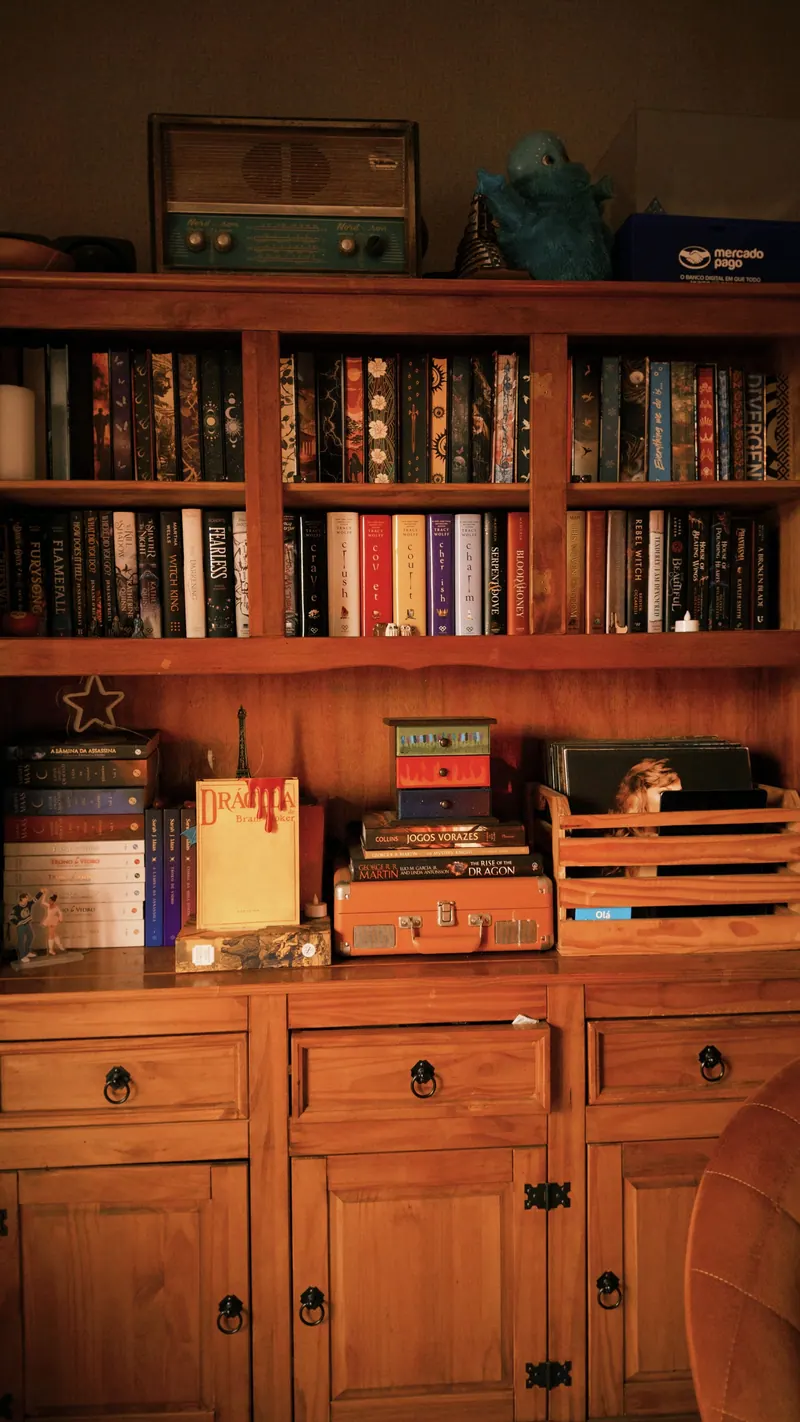 Estante de madeira cheia de livros e um rádio antigo no alto
